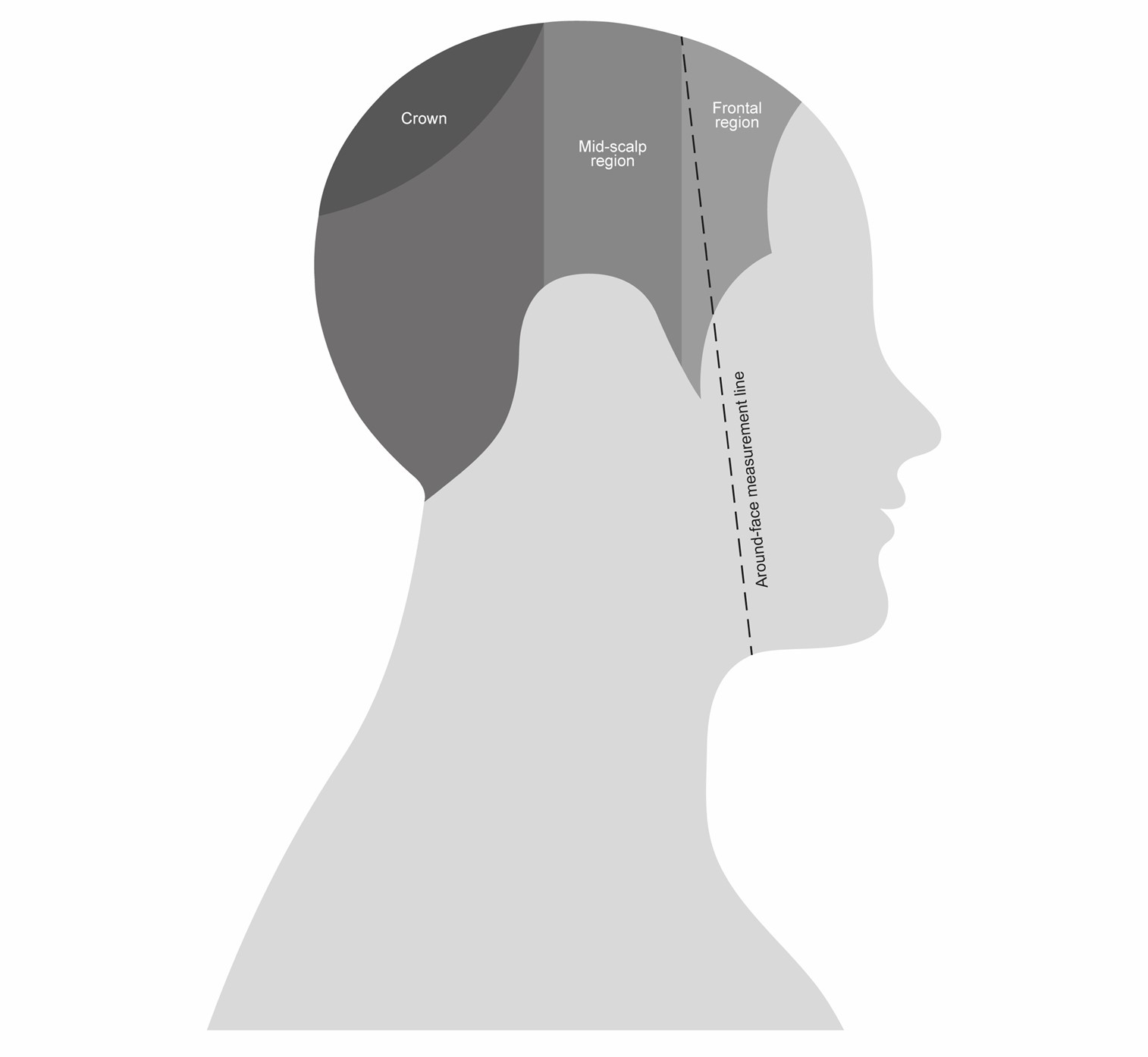 Head Measurement Guide.jpg