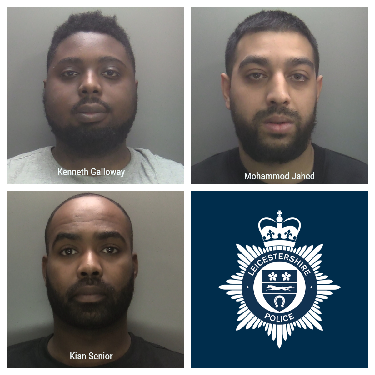 Image of Galloway, Jahed & Senior